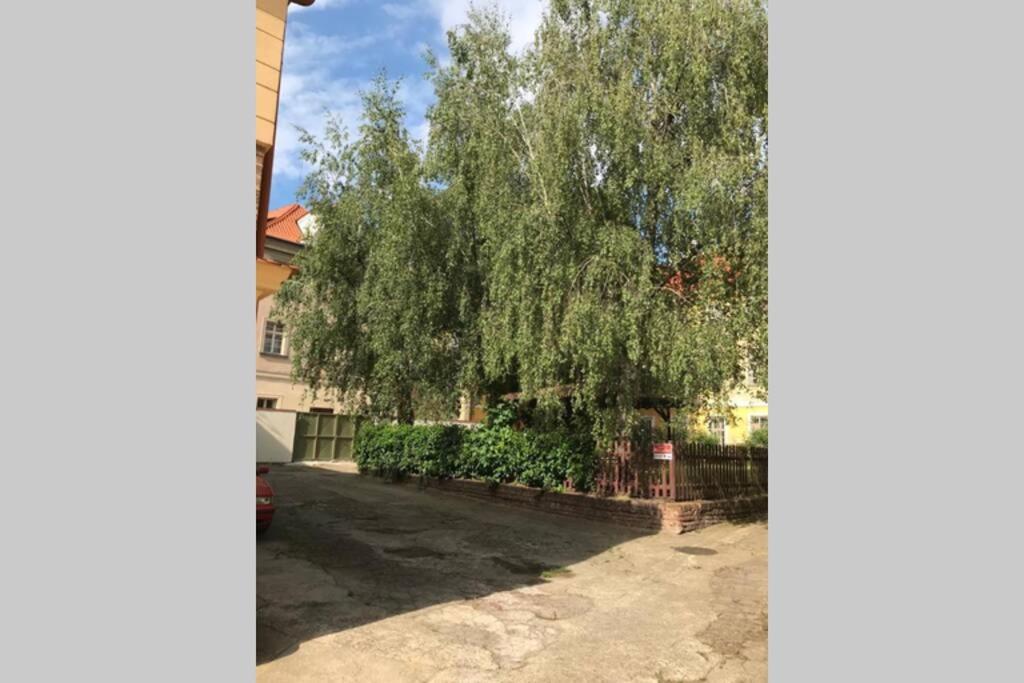 Rose Apartments / Romantic & Cozy / City Center Praag Buitenkant foto