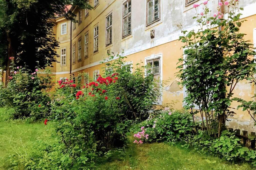 Rose Apartments / Romantic & Cozy / City Center Praag Buitenkant foto